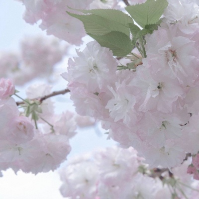 Furry插画故事感营造福瑞群